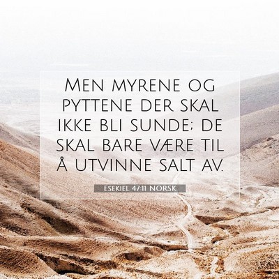 Picture 07 - Esekiel 47:11 NORSK - Men myrene og pyttene der skal ikke bli sunde; de - Bible Verse Picture