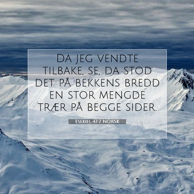 Picture 07 - Esekiel 47:7 NORSK - Da jeg vendte tilbake, se, da stod det på - Bible Verse Picture