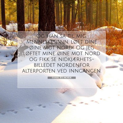 Picture 07 - Esekiel 8:5 NORSK - Og han sa til mig: Menneskesønn, løft dine - Bible Verse Picture