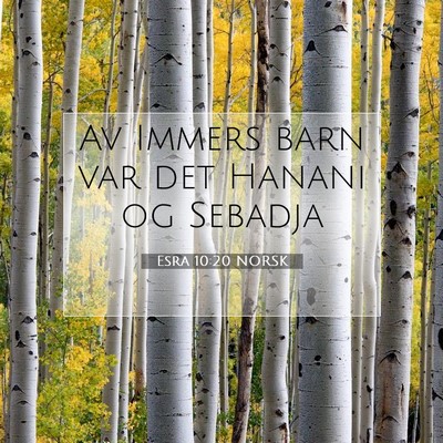 Picture 07 - Esra 10:20 NORSK - Av Immers barn var det Hanani og - Bible Verse Picture