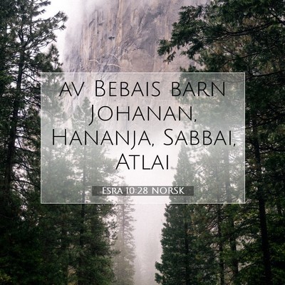 Picture 07 - Esra 10:28 NORSK - av Bebais barn Johanan, Hananja, Sabbai, - Bible Verse Picture