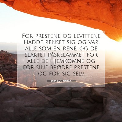 Picture 07 - Esra 6:20 NORSK - For prestene og levittene hadde renset sig og var - Bible Verse Picture