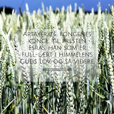 Picture 07 - Esra 7:12 NORSK - Artaxerxes, kongenes konge, til presten Esras, - Bible Verse Picture