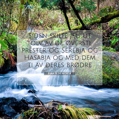 Picture 07 - Esra 8:24 NORSK - Siden skilte jeg ut tolv av de øverste prester - Bible Verse Picture