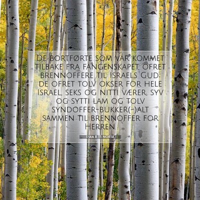 Picture 07 - Esra 8:35 NORSK - De bortførte som var kommet tilbake fra - Bible Verse Picture