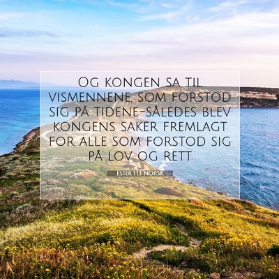 Picture 07 - Ester 1:13 NORSK - Og kongen sa til vismennene, som forstod sig på - Bible Verse Picture