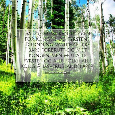 Picture 07 - Ester 1:16 NORSK - Da tok Memukan til orde for kongen og fyrstene: - Bible Verse Picture