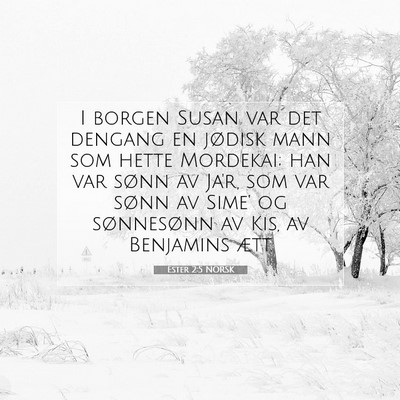 Picture 07 - Ester 2:5 NORSK - I borgen Susan var det dengang en jødisk mann - Bible Verse Picture