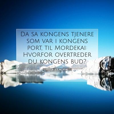 Picture 07 - Ester 3:3 NORSK - Da sa kongens tjenere som var i kongens port, til - Bible Verse Picture