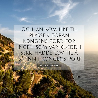 Picture 07 - Ester 4:2 NORSK - Og han kom like til plassen foran kongens port; - Bible Verse Picture