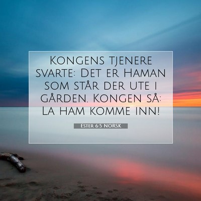 Picture 07 - Ester 6:5 NORSK - Kongens tjenere svarte: Det er Haman som står - Bible Verse Picture