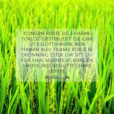 Picture 07 - Ester 7:7 NORSK - Kongen reiste sig i harme, forlot gjestebudet og - Bible Verse Picture