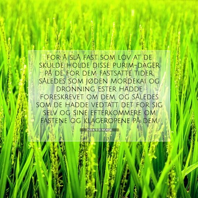 Picture 07 - Ester 9:31 NORSK - for å slå fast som lov at de skulde holde disse - Bible Verse Picture