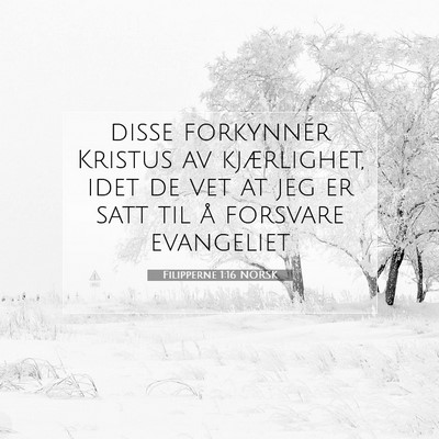 Picture 07 - Filipperne 1:16 NORSK - disse forkynner Kristus av kjærlighet, idet de - Bible Verse Picture