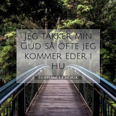 Picture 07 - Filipperne 1:3 NORSK - Jeg takker min Gud så ofte jeg kommer eder i - Bible Verse Picture
