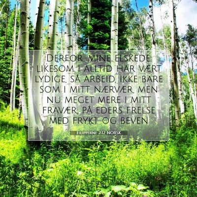 Picture 07 - Filipperne 2:12 NORSK - Derfor, mine elskede, likesom I alltid har vært - Bible Verse Picture