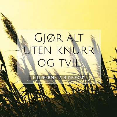 Picture 07 - Filipperne 2:14 NORSK - Gjør alt uten knurr og - Bible Verse Picture