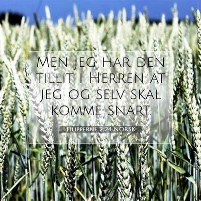 Picture 07 - Filipperne 2:24 NORSK - Men jeg har den tillit i Herren at jeg og selv - Bible Verse Picture