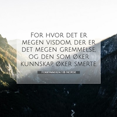 Picture 07 - Forkynneren 1:18 NORSK - For hvor det er megen visdom, der er det megen - Bible Verse Picture