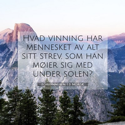 Picture 07 - Forkynneren 1:3 NORSK - Hvad vinning har mennesket av alt sitt strev, som - Bible Verse Picture