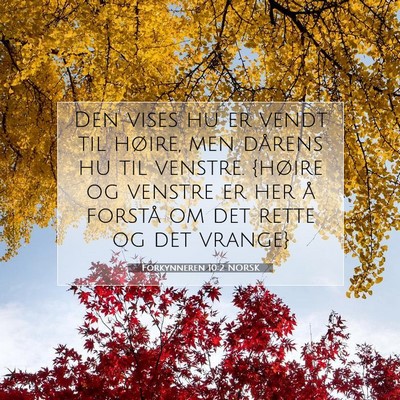 Picture 07 - Forkynneren 10:2 NORSK - Den vises hu er vendt til høire, men dårens hu - Bible Verse Picture