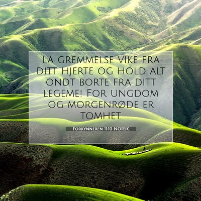 Picture 07 - Forkynneren 11:10 NORSK - La gremmelse vike fra ditt hjerte og hold alt - Bible Verse Picture