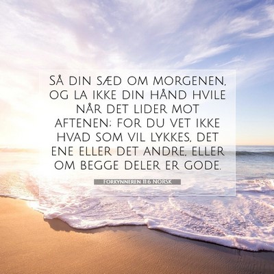 Picture 07 - Forkynneren 11:6 NORSK - Så din sæd om morgenen, og la ikke din hånd - Bible Verse Picture