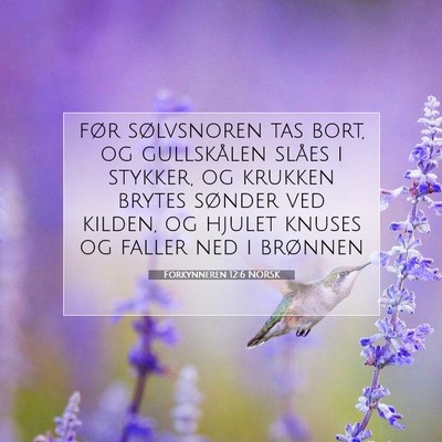 Picture 07 - Forkynneren 12:6 NORSK - før sølvsnoren tas bort, og gullskålen slåes - Bible Verse Picture