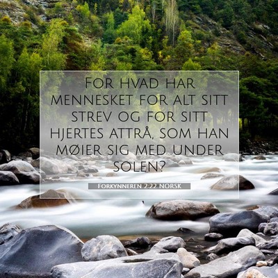Picture 07 - Forkynneren 2:22 NORSK - For hvad har mennesket for alt sitt strev og for - Bible Verse Picture