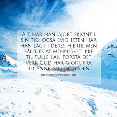 Picture 07 - Forkynneren 3:11 NORSK - Alt har han gjort skjønt i sin tid; også - Bible Verse Picture