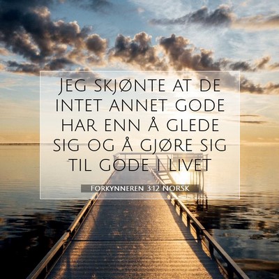 Picture 07 - Forkynneren 3:12 NORSK - Jeg skjønte at de intet annet gode har enn å - Bible Verse Picture