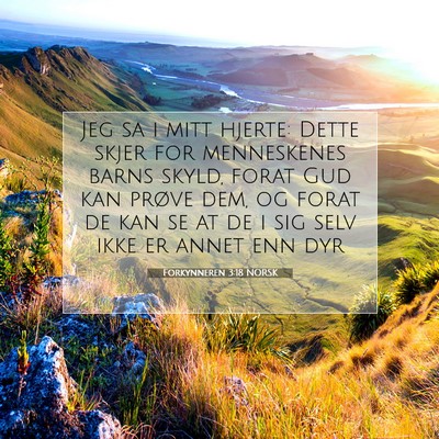 Picture 07 - Forkynneren 3:18 NORSK - Jeg sa i mitt hjerte: Dette skjer for menneskenes - Bible Verse Picture