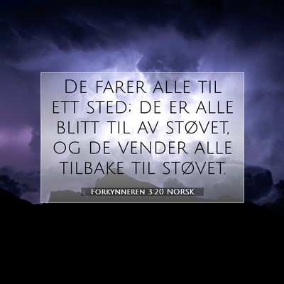 Picture 07 - Forkynneren 3:20 NORSK - De farer alle til ett sted; de er alle blitt til - Bible Verse Picture
