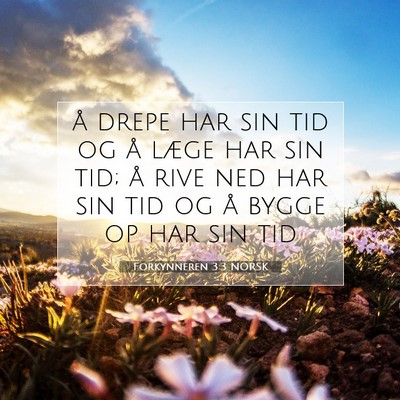 Picture 07 - Forkynneren 3:3 NORSK - å drepe har sin tid og å læge har sin tid; å - Bible Verse Picture
