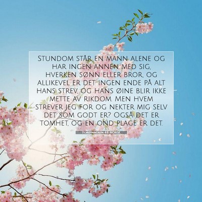 Picture 07 - Forkynneren 4:8 NORSK - Stundom står en mann alene og har ingen annen - Bible Verse Picture