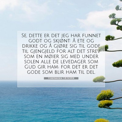 Picture 07 - Forkynneren 5:18 NORSK - Se, dette er det jeg har funnet godt og skjønt: - Bible Verse Picture