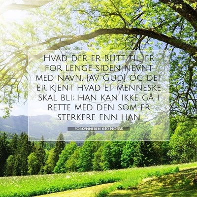 Picture 07 - Forkynneren 6:10 NORSK - Hvad der er blitt til, er for lenge siden nevnt - Bible Verse Picture