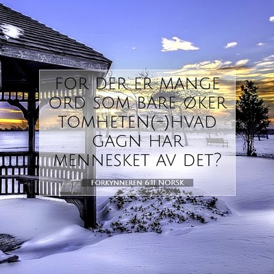 Picture 07 - Forkynneren 6:11 NORSK - for der er mange ord som bare øker - Bible Verse Picture