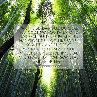 Picture 07 - Forkynneren 7:14 NORSK - På en god dag skal du være ved godt mot, og på - Bible Verse Picture
