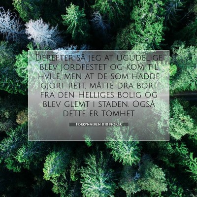 Picture 07 - Forkynneren 8:10 NORSK - Derefter så jeg at ugudelige blev jordfestet og - Bible Verse Picture
