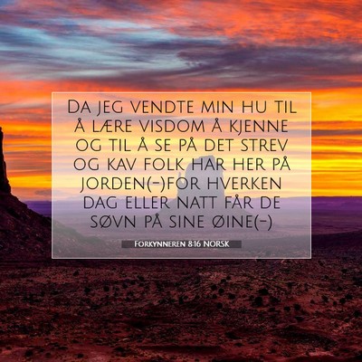 Picture 07 - Forkynneren 8:16 NORSK - Da jeg vendte min hu til å lære visdom å - Bible Verse Picture