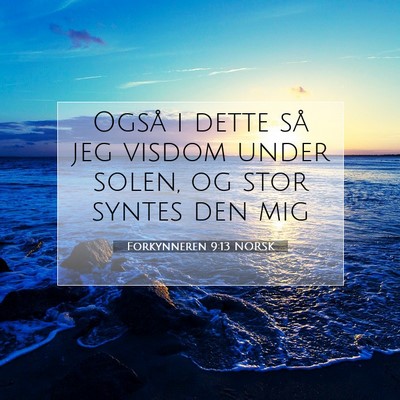 Picture 07 - Forkynneren 9:13 NORSK - Også i dette så jeg visdom under solen, og stor - Bible Verse Picture