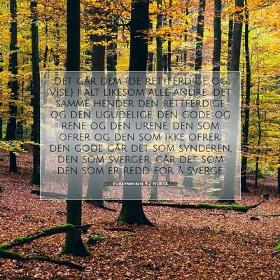 Picture 07 - Forkynneren 9:2 NORSK - Det går dem {de rettferdige og vise.} i alt - Bible Verse Picture