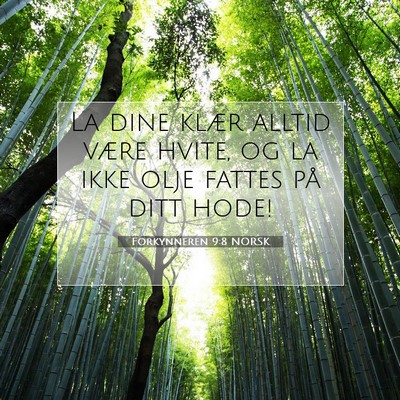 Picture 07 - Forkynneren 9:8 NORSK - La dine klær alltid være hvite, og la ikke olje - Bible Verse Picture