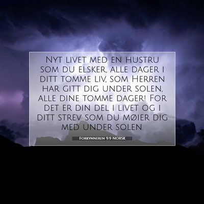 Picture 07 - Forkynneren 9:9 NORSK - Nyt livet med en hustru som du elsker, alle dager - Bible Verse Picture