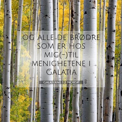 Picture 07 - Galaterne 1:2 NORSK - og alle de brødre som er hos mig(-)til - Bible Verse Picture