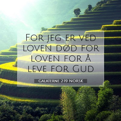 Picture 07 - Galaterne 2:19 NORSK - For jeg er ved loven død for loven for å leve - Bible Verse Picture