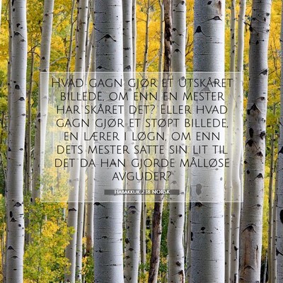 Picture 07 - Habakkuk 2:18 NORSK - Hvad gagn gjør et utskåret billede, om enn en - Bible Verse Picture