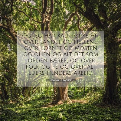 Picture 07 - Haggai 1:11 NORSK - Og jeg har kalt tørke hit over landet og - Bible Verse Picture