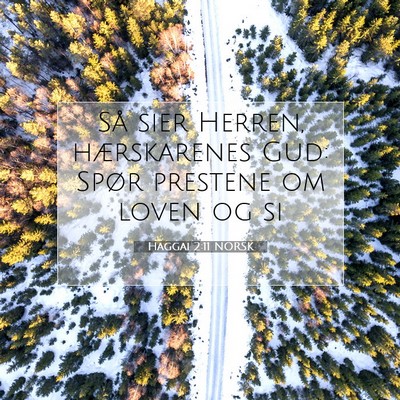 Picture 07 - Haggai 2:11 NORSK - Så sier Herren, hærskarenes Gud: Spør prestene - Bible Verse Picture